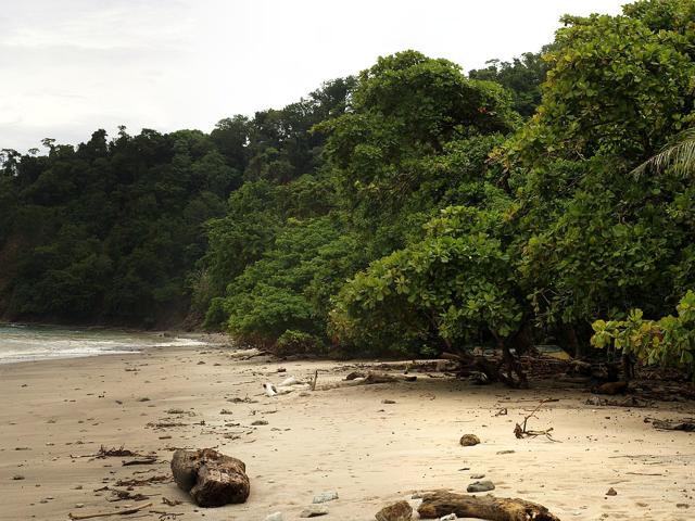 Cabo Blanco Absolute Natural Reserve